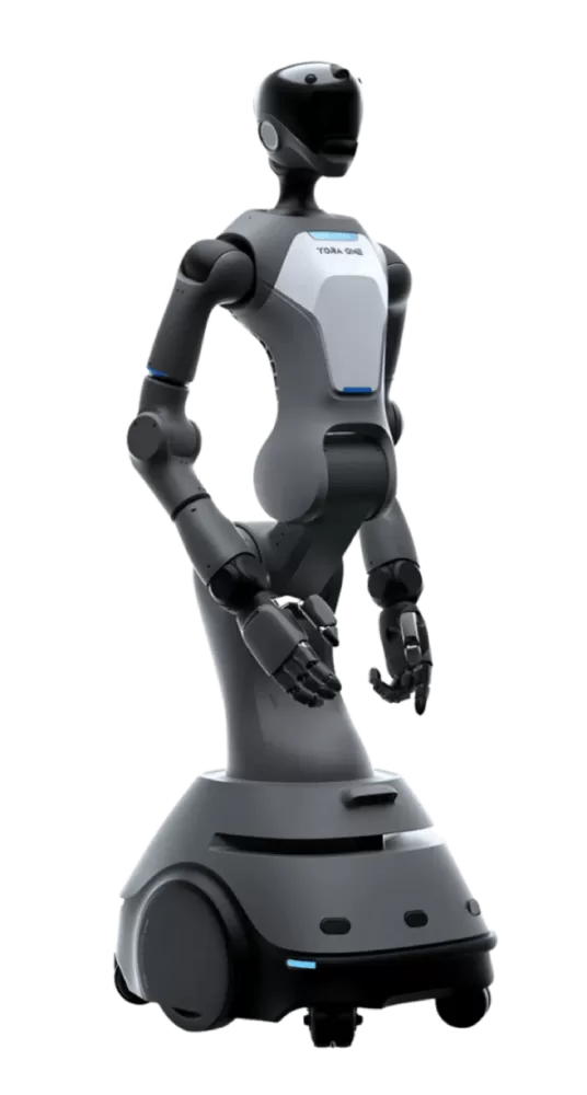 ToraOne